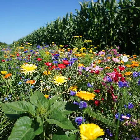 Burgtiefe Suedstrand Seekieker - Inkl Freikarten Fehmare Schwimmbad Und Sauna *
