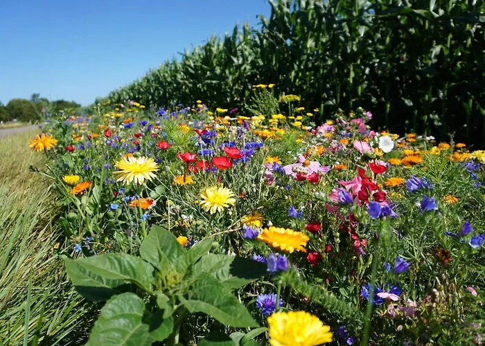 Burgtiefe Suedstrand Seekieker - Inkl Freikarten Fehmare Schwimmbad Und Sauna *